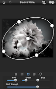 Dramatic Black & White plakat