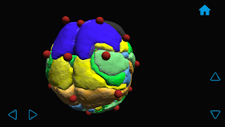 iBrainEEG2 screenshot 6