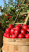 Apple Wallpaper اسکرین شاٹ 5