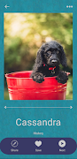 Dog Names & Photos - NameMyDog تصوير الشاشة 2