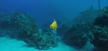 Edu VR captura de pantalla 3