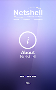 Netshell Software Solutions-poster