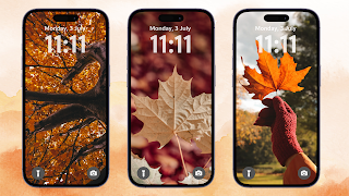 Maple Leaf Wallpaper Cartaz