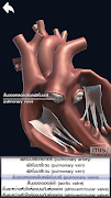 MIS Human Body AR Poster screenshot 2