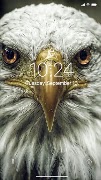 Eagle Wallpaper स्क्रीनशॉट 5