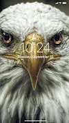 Adler Tapete Screenshot 5