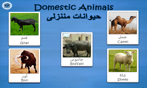 Arabic Flashcards By Tinytapps スクリーンショット 7