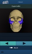 Dr. Girder's Bones screenshot 4