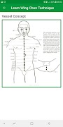 Learn Wing Chun Techniques ภาพหน้าจอ 5