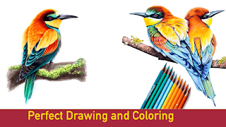 Animals Coloring 海報