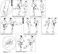 Learn Karate For Beginner 截图 3