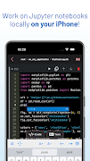 Jupyter Notebook - JuNote screenshot 2