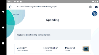 DomuSpect moving in/out report screenshot 6