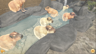 Capybara Zoo ảnh chụp màn hình 1