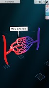 Vascular system screenshot 6