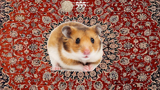برنامه‌نما Hamster عکس از صفحه