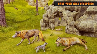 Ultimate Wild Wolf Simulator syot layar 2