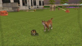 Crazy Cat vs Mouse screenshot 6