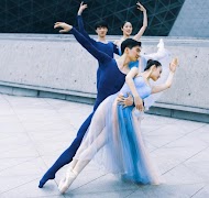 Lerne Ballett von zu Hause aus. Screenshot 2