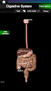 برنامه‌نما Internal Organs in 3D Anatomy عکس از صفحه