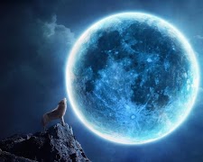 Wolf wallpapers ภาพหน้าจอ 3