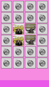 Buffalo Memory Game screenshot 7