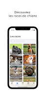Les chiens - Races & conseils poster