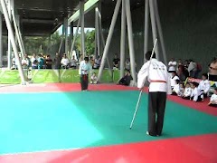 Hapkido training screenshot 4