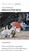 Climbing Magazine imagem de tela 2