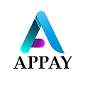 AP Pay