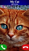 kucing game panggilan palsu screenshot 1