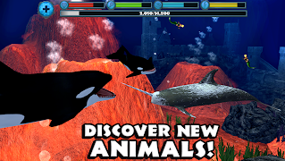 Orca Simulator screenshot 5