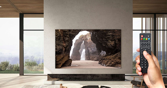 Universal Remote For All Vizio TV poster