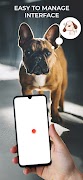 Dog Translator Screenshot 1