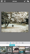 NIR Color ảnh chụp màn hình 7