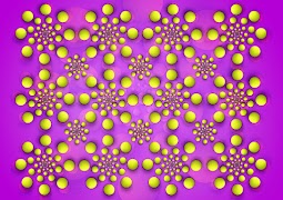 HDBrain Illusions d'optique capture d'écran 4
