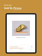 Gold Identifier imagem de tela 7