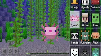 Morph Mod Minecraft captura de pantalla 3
