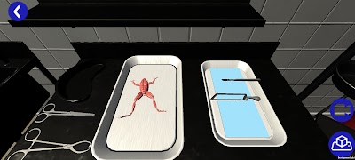 Flow - Biologia captura de pantalla 4