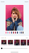 Color palette Poster