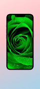 Green Rose WalL capture d'écran 2