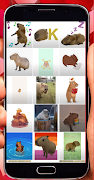 برنامه‌نما Capybara Stickers عکس از صفحه