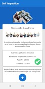 Self Inspection imagem de tela 7
