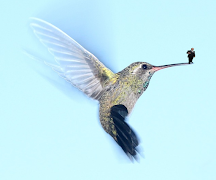 7 Schermata Create Spot