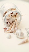 Seashell Wallpaper ภาพหน้าจอ 1