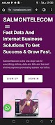 Salmon Telecom 海報