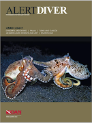Alert Diver screenshot 1