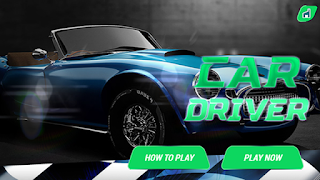 پوستر Car Driver