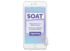 3 Schermata SOAT Virtual