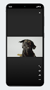 Pie screenshot 2